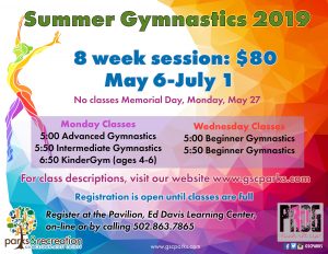 gymnastics summer registration